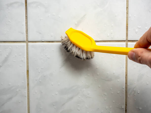 Best Black Mold Removal  in Piedmont, AL