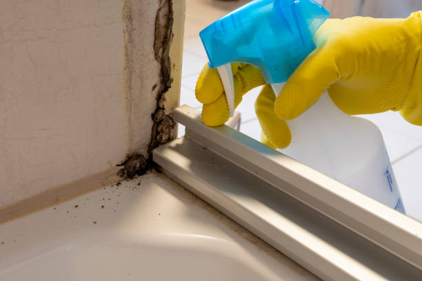 Crawl Space Mold Removal in Piedmont, AL