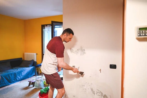 Best Mold Remediation Experts  in Piedmont, AL